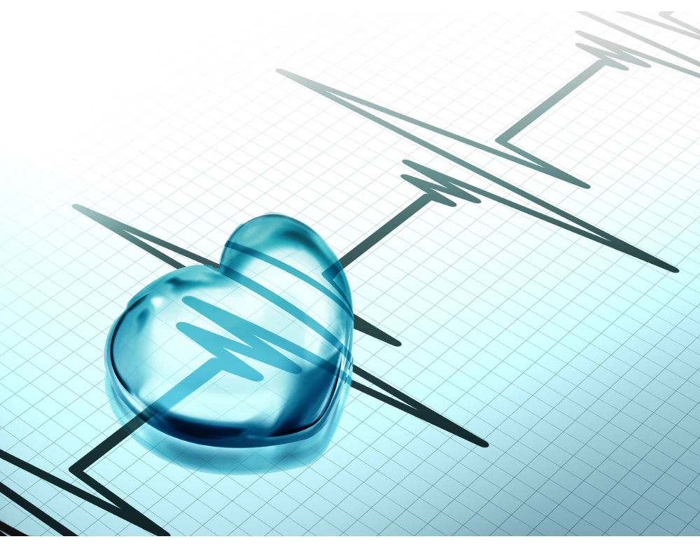 Cardiovascular Disease Studies